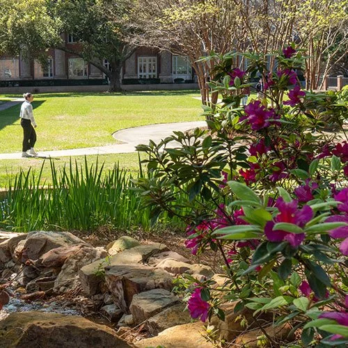 Class Notes - Summer 2024