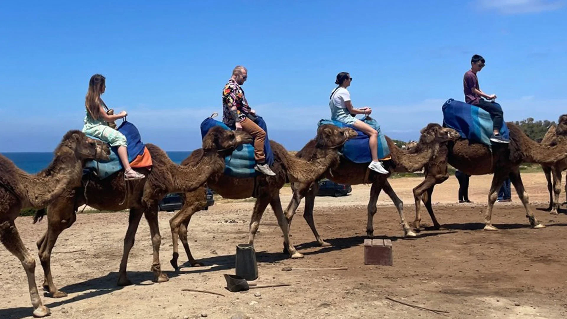 Spotlight on Centenary’s Cultural Modules