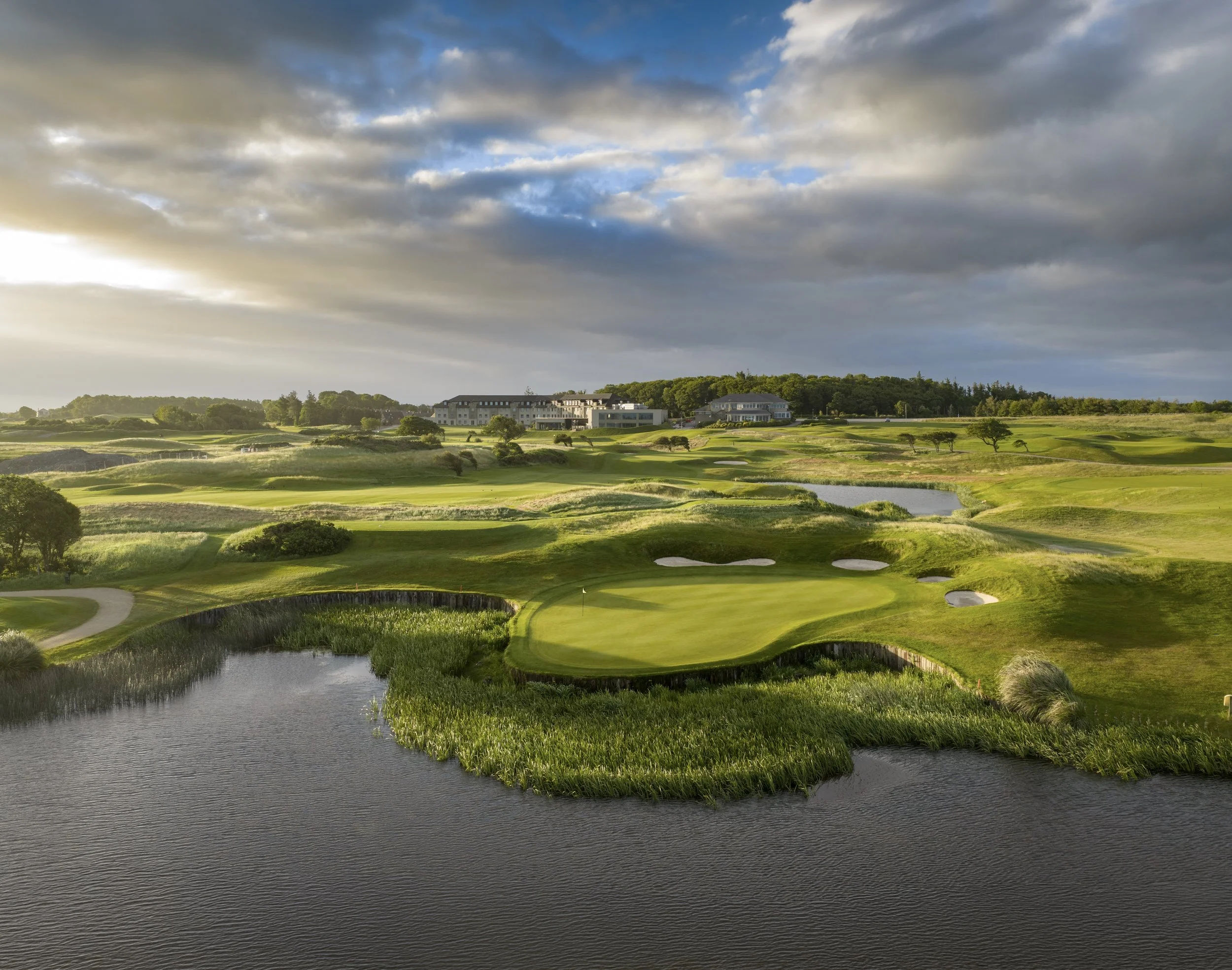 The Hawthorn by Galway Bay.jpg