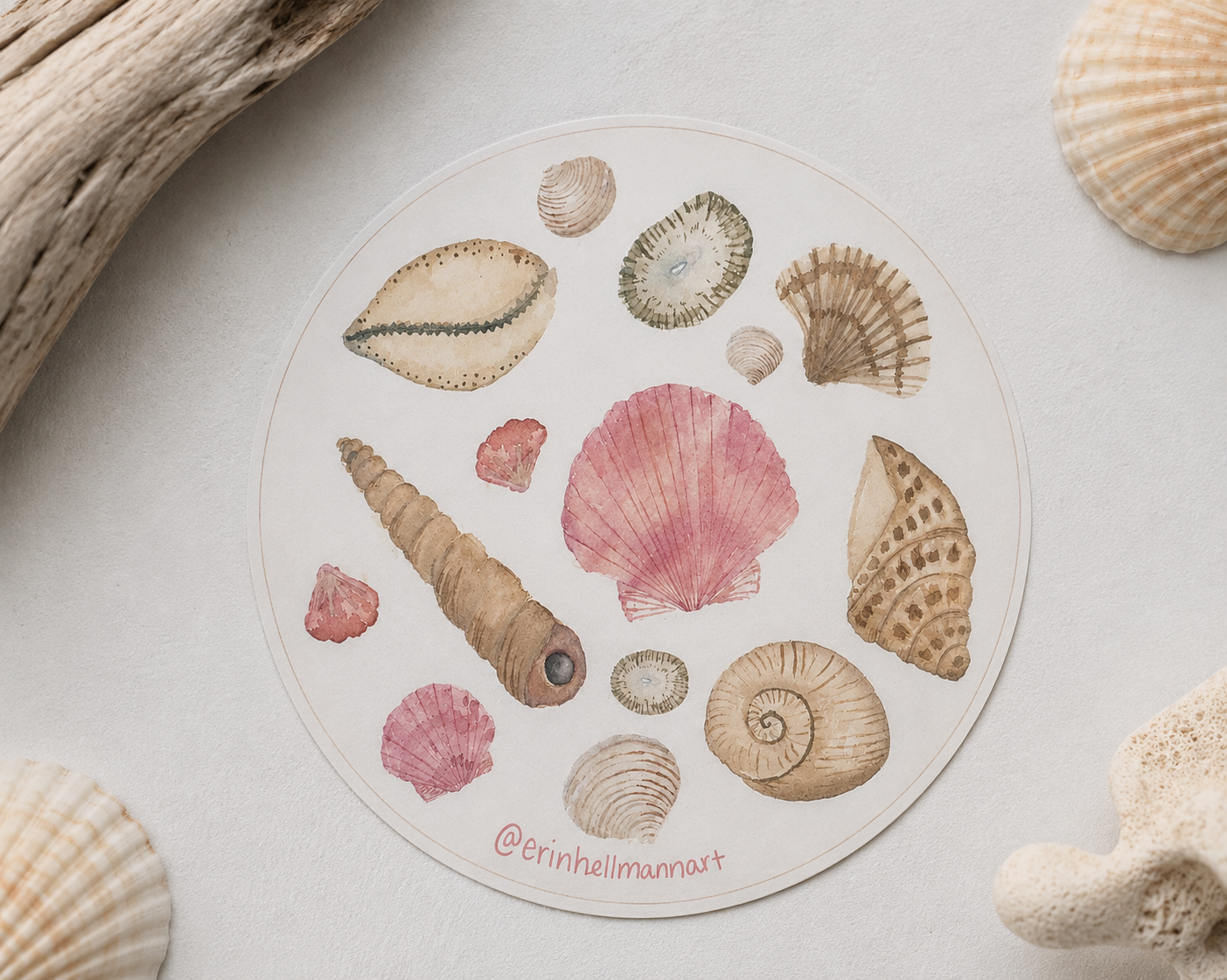 Local Shells Sticker