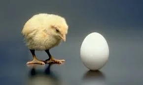 Life's health question.....Which Came First?