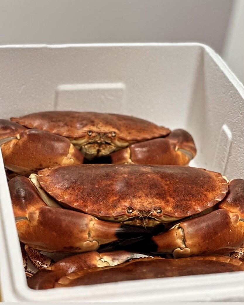 Nothing better than local Jersey Crab fresh from the sea today. 
With serval dishes on our menus including on our new four course &lsquo;a la carte&rsquo; menu as:
&ldquo;Jersey White Crab Meat &amp; Brown Crab Pannacotta
Blood Orange, Fennel &amp; P