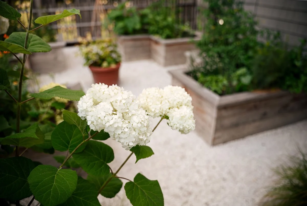 Sommerset_Flowers_Planter.jpg