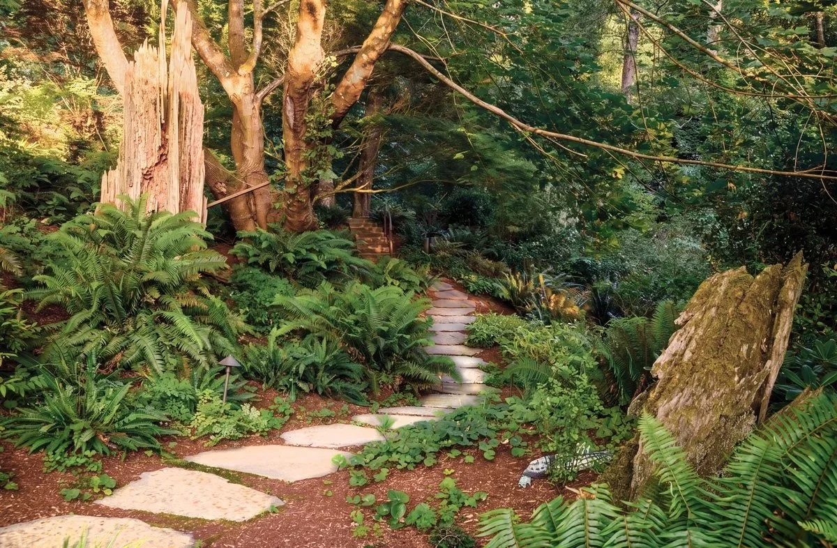 Anderson_Exitpath_Hardscape.jpg