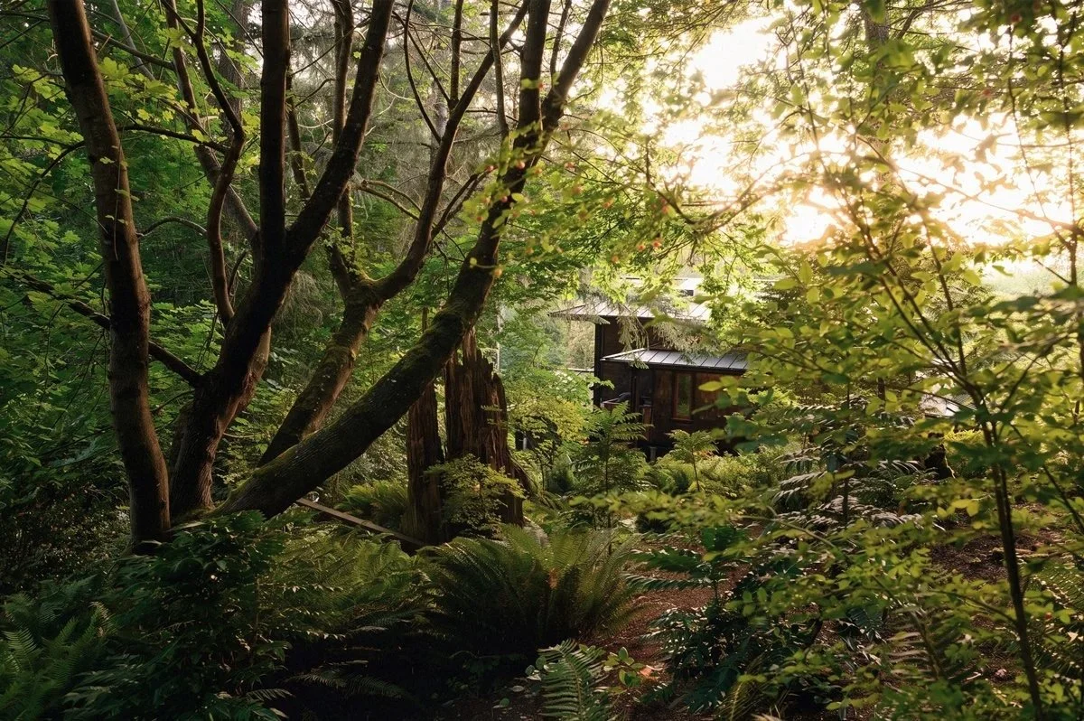 Anderson_Native_Side_View.jpg