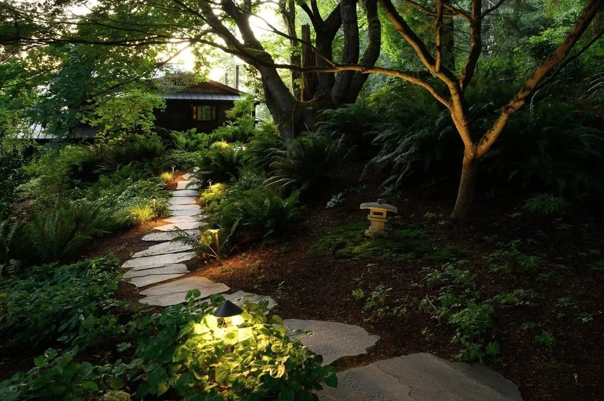 Anderson_Lighting_Entry_Walway_Hardscape.jpg