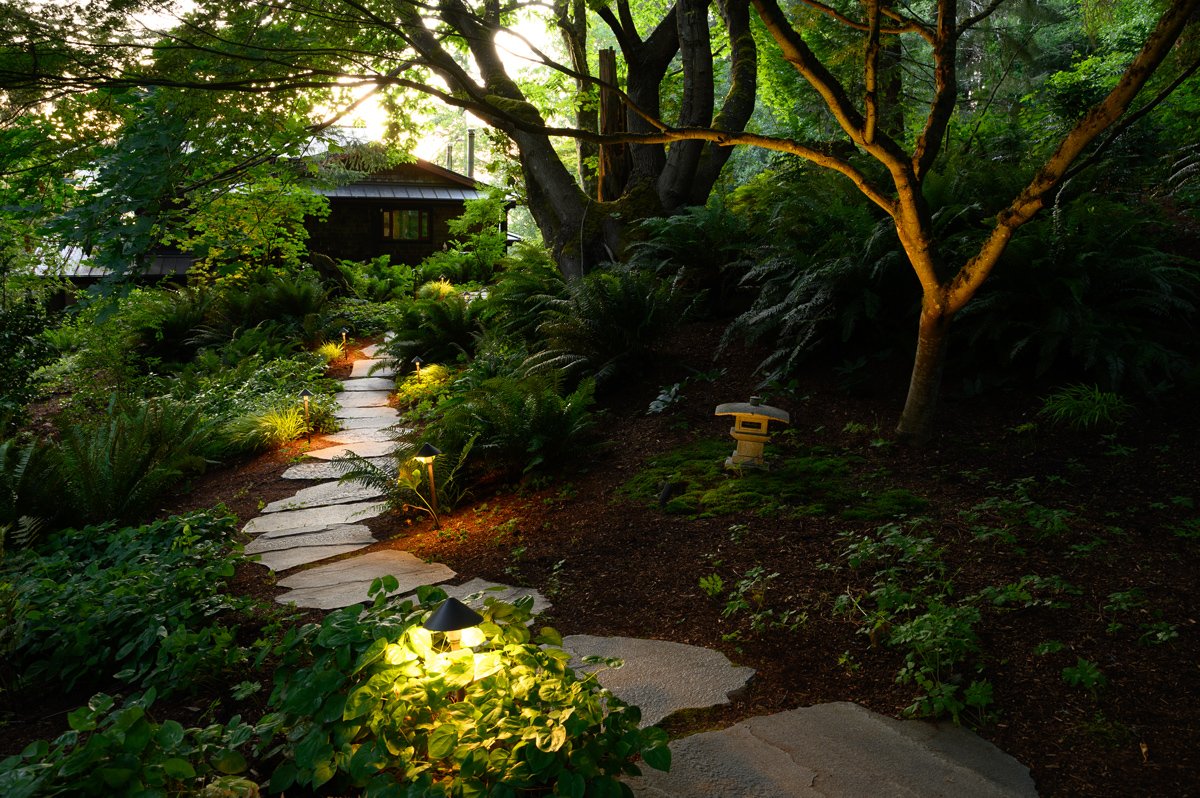 Anderson_Lighting_Entry_Walway_Hardscape.jpg