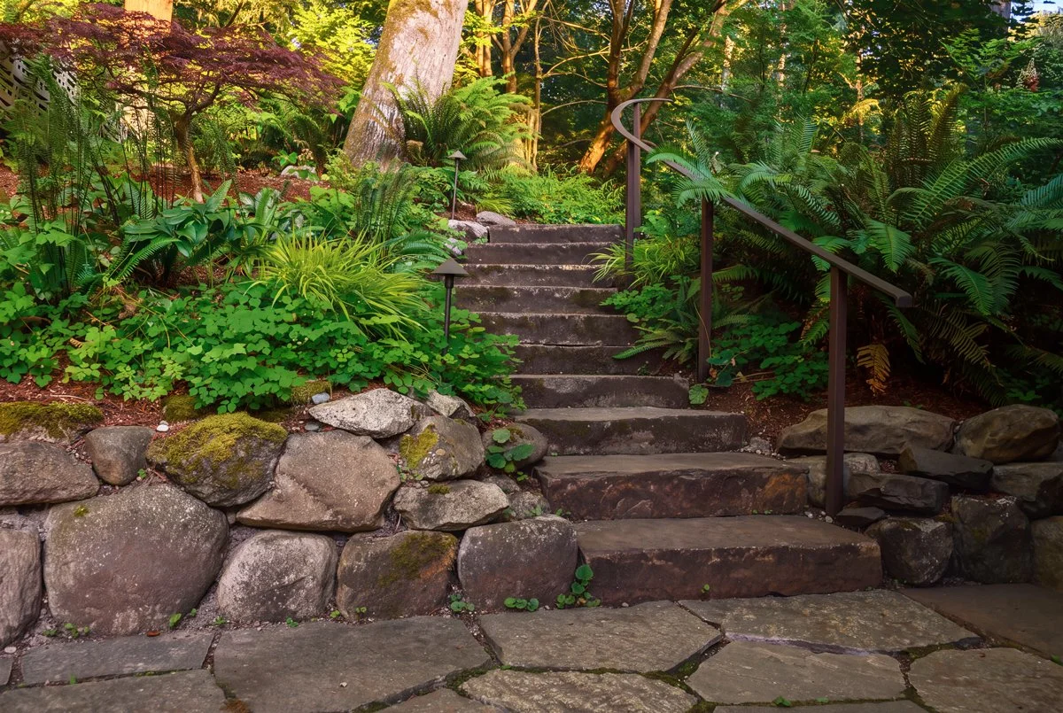 Anderson_Steps_Hardscape.jpg