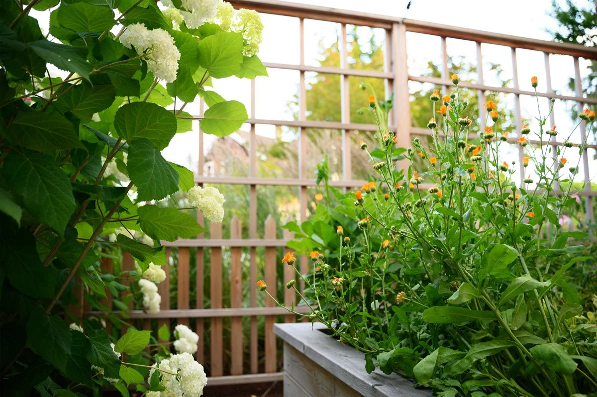 Sommerseth_Carpentry_Flowerbox.jpg