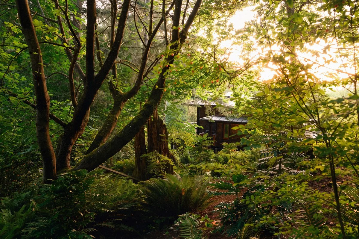 Anderson_Native_Side_View.jpg