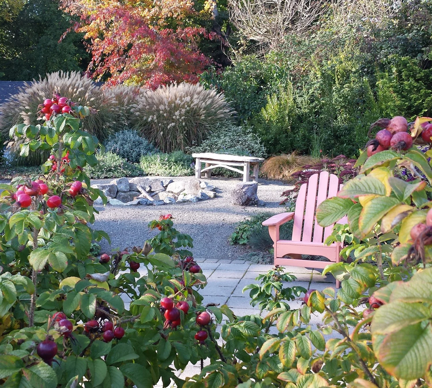 Fall Garden.jpg