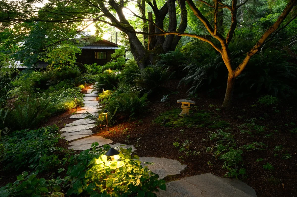 Anderson_Lighting_Entry_Walway_Hardscape.jpg