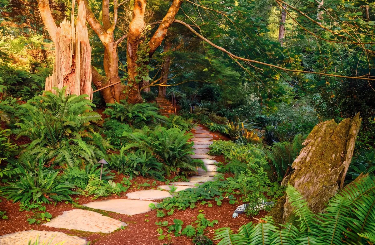 Anderson_Exitpath_Hardscape.jpg