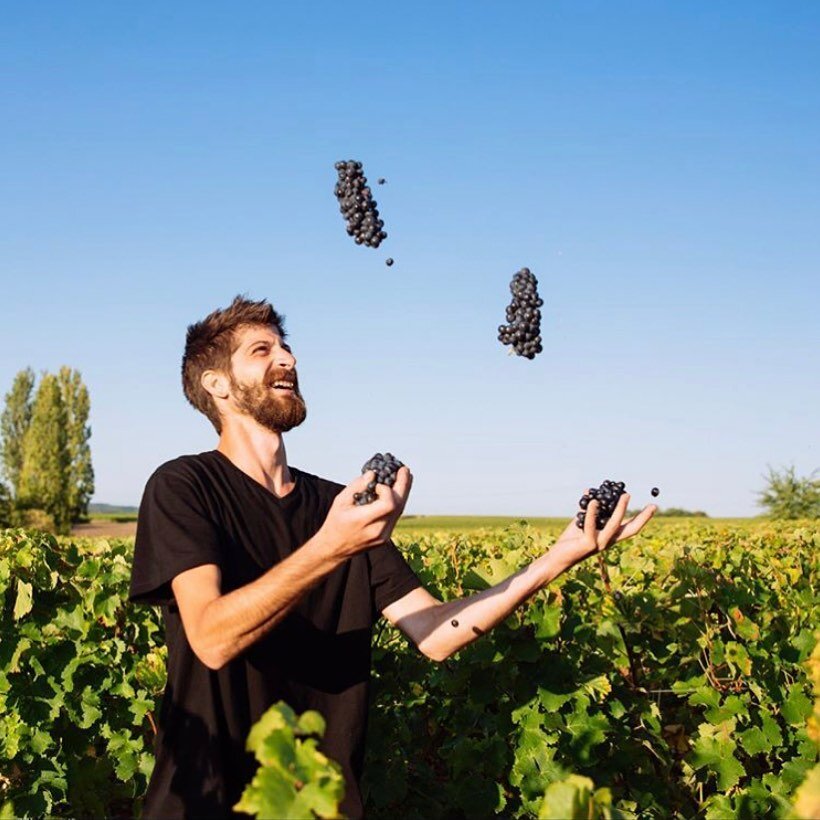 Wayyyyy too much goofing off during harvest at Domaine JF Merieau if you ask me. We need our Gamay Bois Jacou! 😜 Repost @vinsdomainemerieau41
⠀⠀⠀⠀⠀⠀⠀⠀⠀
#jondavidheadrickselections #laloire #organicwines #winoclock #wineaddict #wineproducer #myloirev