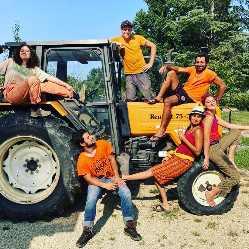 Gorgeous weather and happy pickers at this year&rsquo;s harvest chez Damien Laureau  in Savennières. 2020 harvest is looking 😍😍😍! #repost from @domainelaureau
⠀⠀⠀⠀⠀⠀⠀⠀⠀

#jondavidheadrickselections #laloire #organicwines #winoclock #wineaddict #w