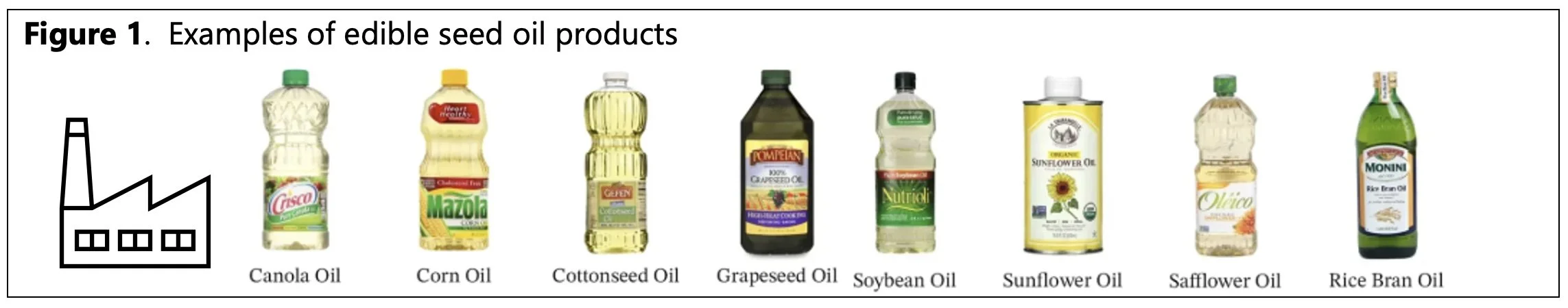 Seed Oils…good or bad? You decide!