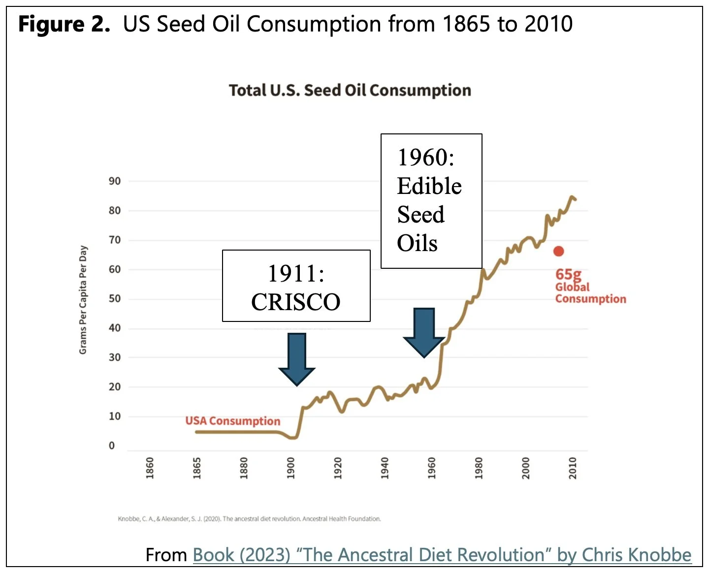 Seed Oils…good or bad? You decide!