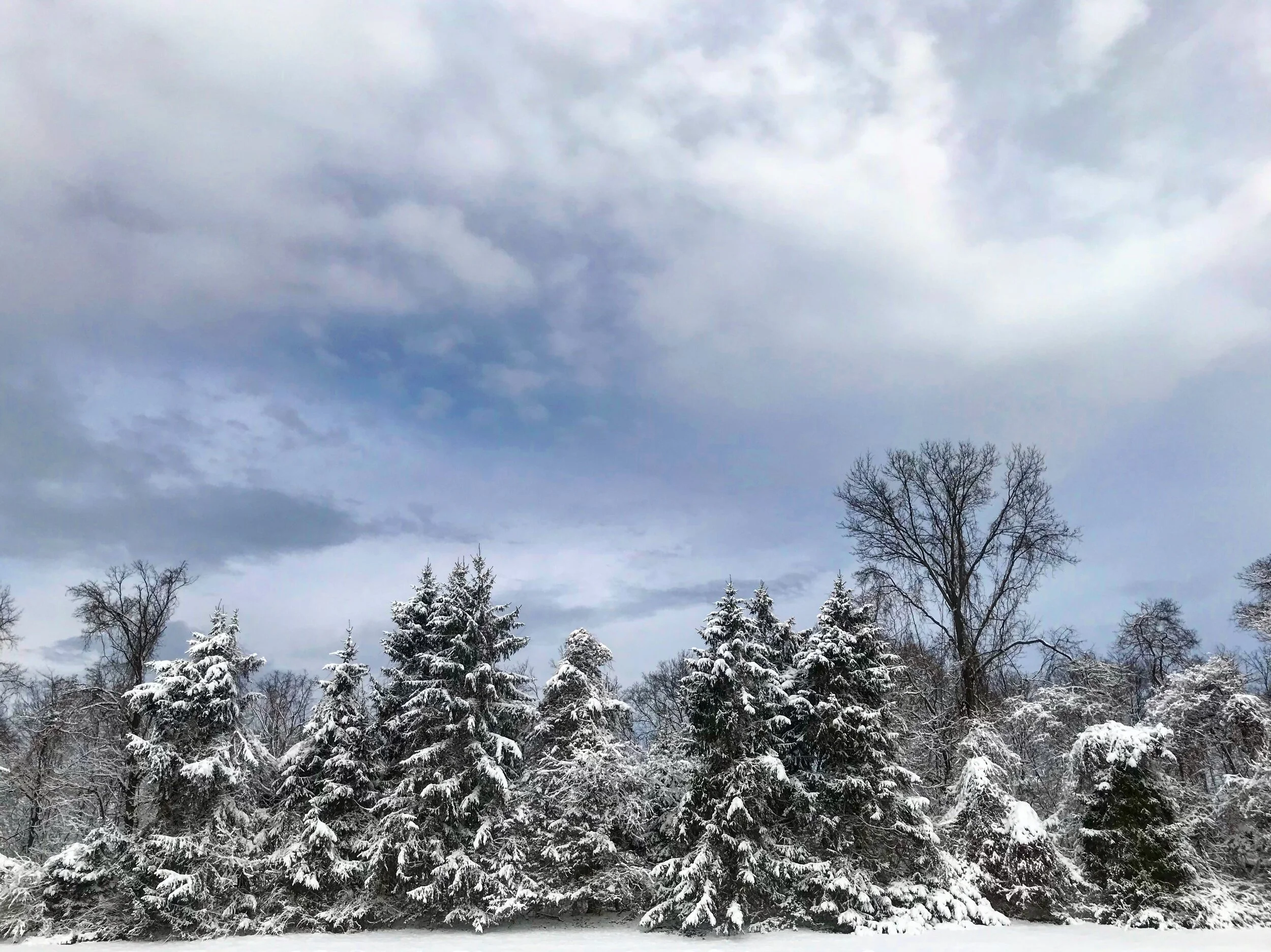 Princeton, NJ
Photo by Ariana Albarella