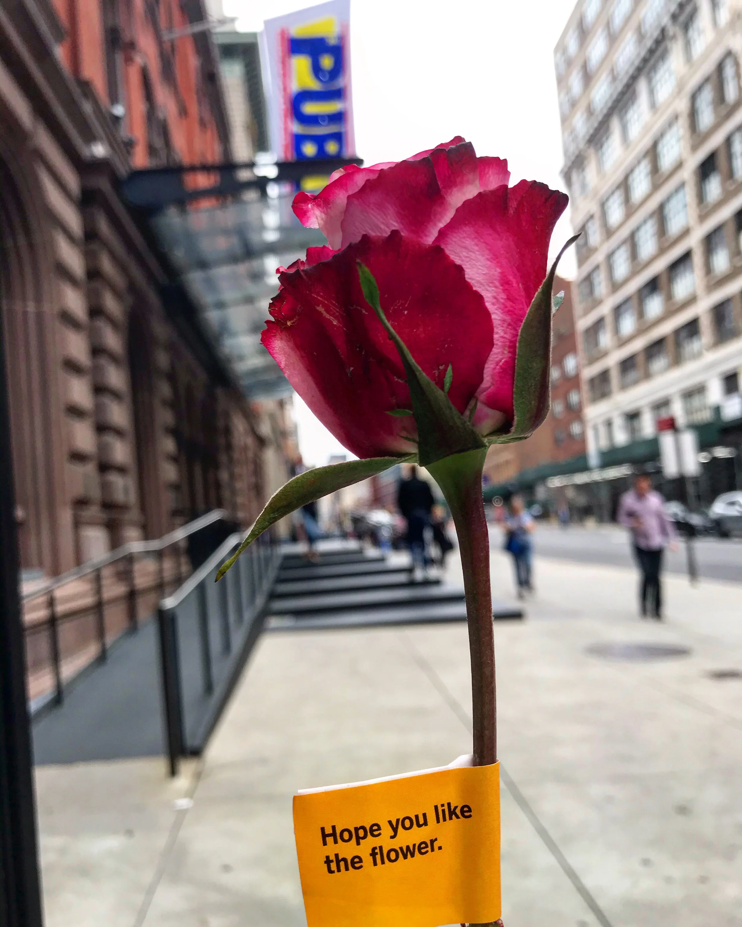 The Public Theater, NYC
 Photo by Ariana Albarella