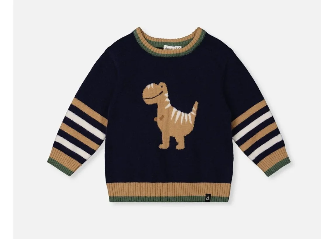 Dino Sweater
