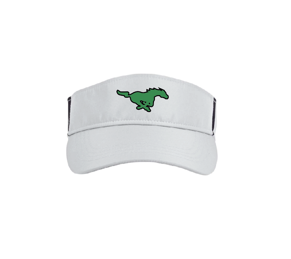 A - PLATINUM VISOR