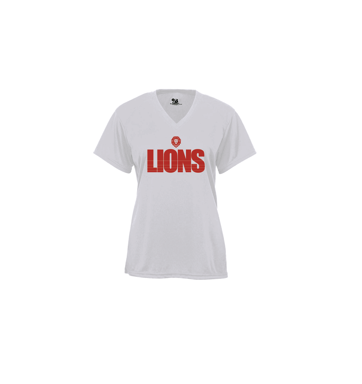 LIMITED SUPPLY ITEM - LADIES SILVER SOFTLOCK V-NECK