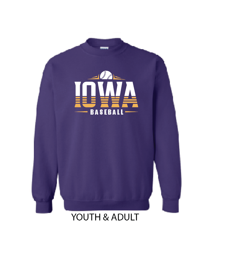 I - PURPLE SWEATSHIRT