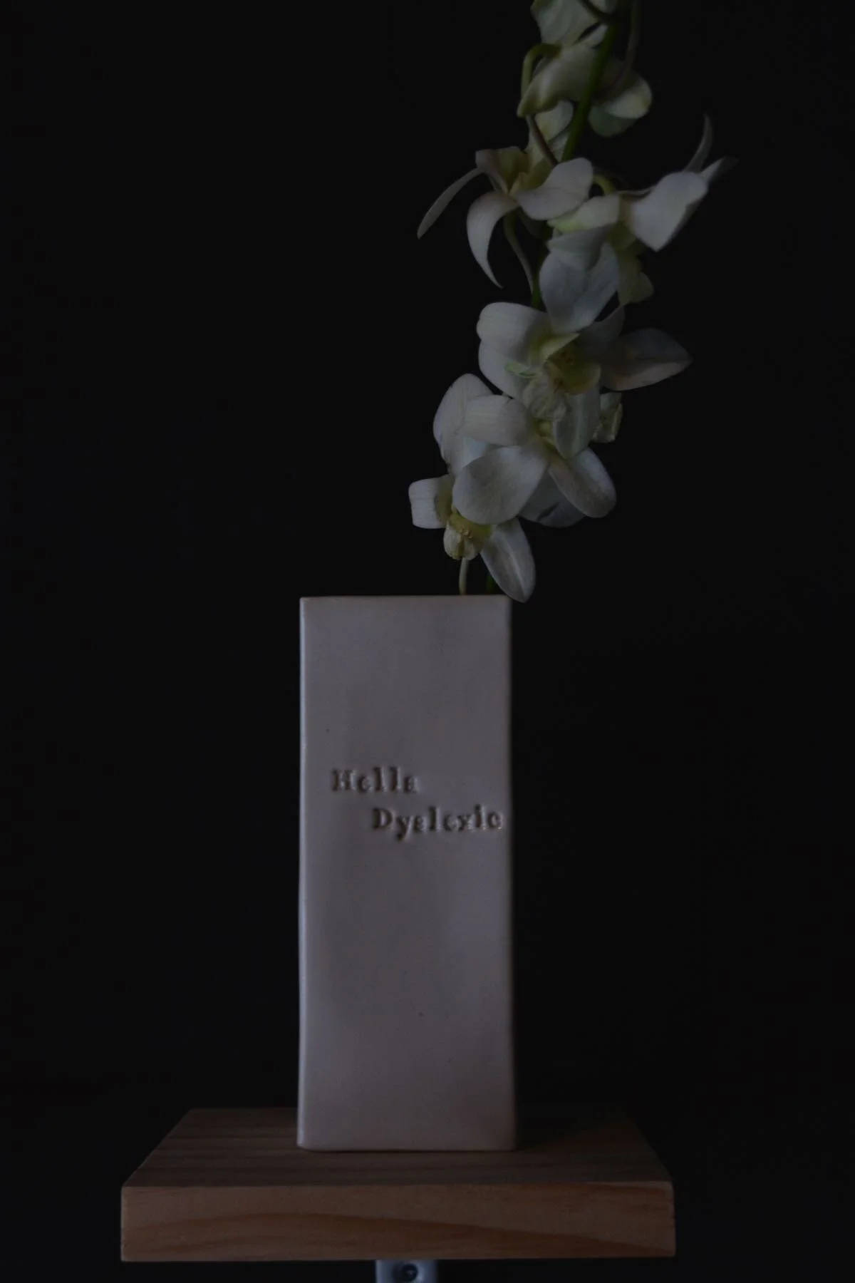 resized_DSC2852.jpg