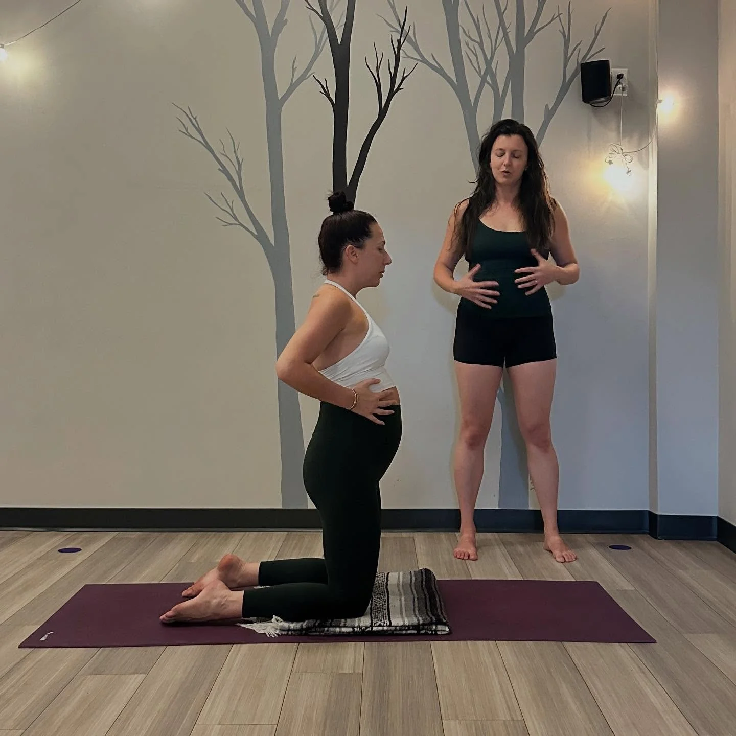 Pop Up! Preparation for Labor with Julie Shore 💜

Tuesday, October 7
6:00pm | PPY 365 

This class is designed for expectant mothers to prepare the body and mind for labor and birth. You&rsquo;ll learn how to use breath and mindful movement to creat
