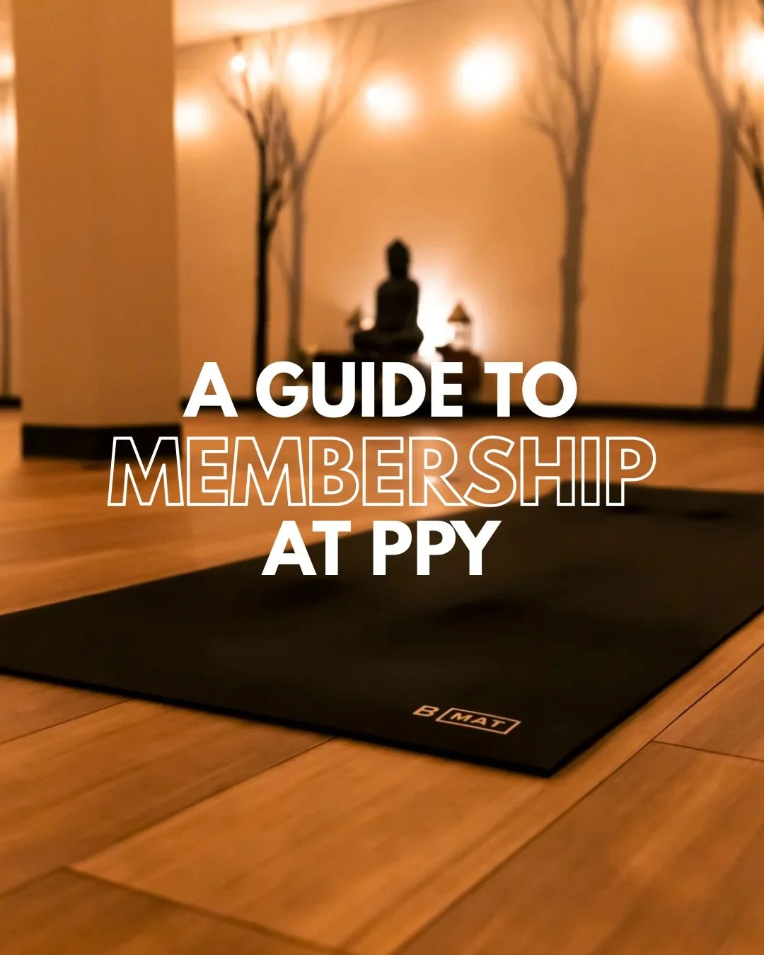 There are so many ways for you to practice at PPY but if you&rsquo;re coming to 2+ classes per week our Monthly Unlimited Membership is the most economic option if considered on a per class basis. That&rsquo;s it &mdash; just two classes a week! 

Ou