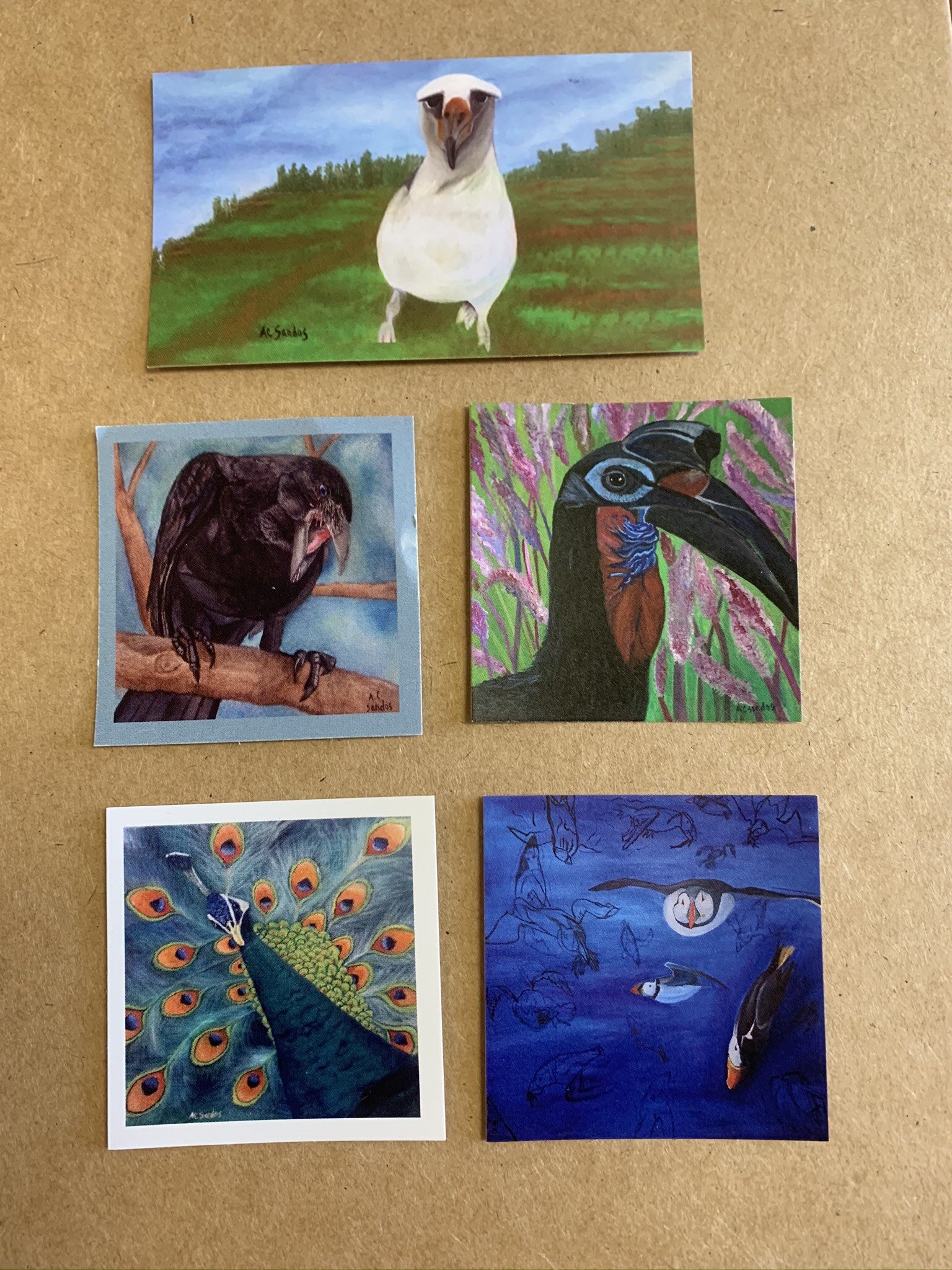 Limited Edition Sticker Set. For the Birds.jpeg