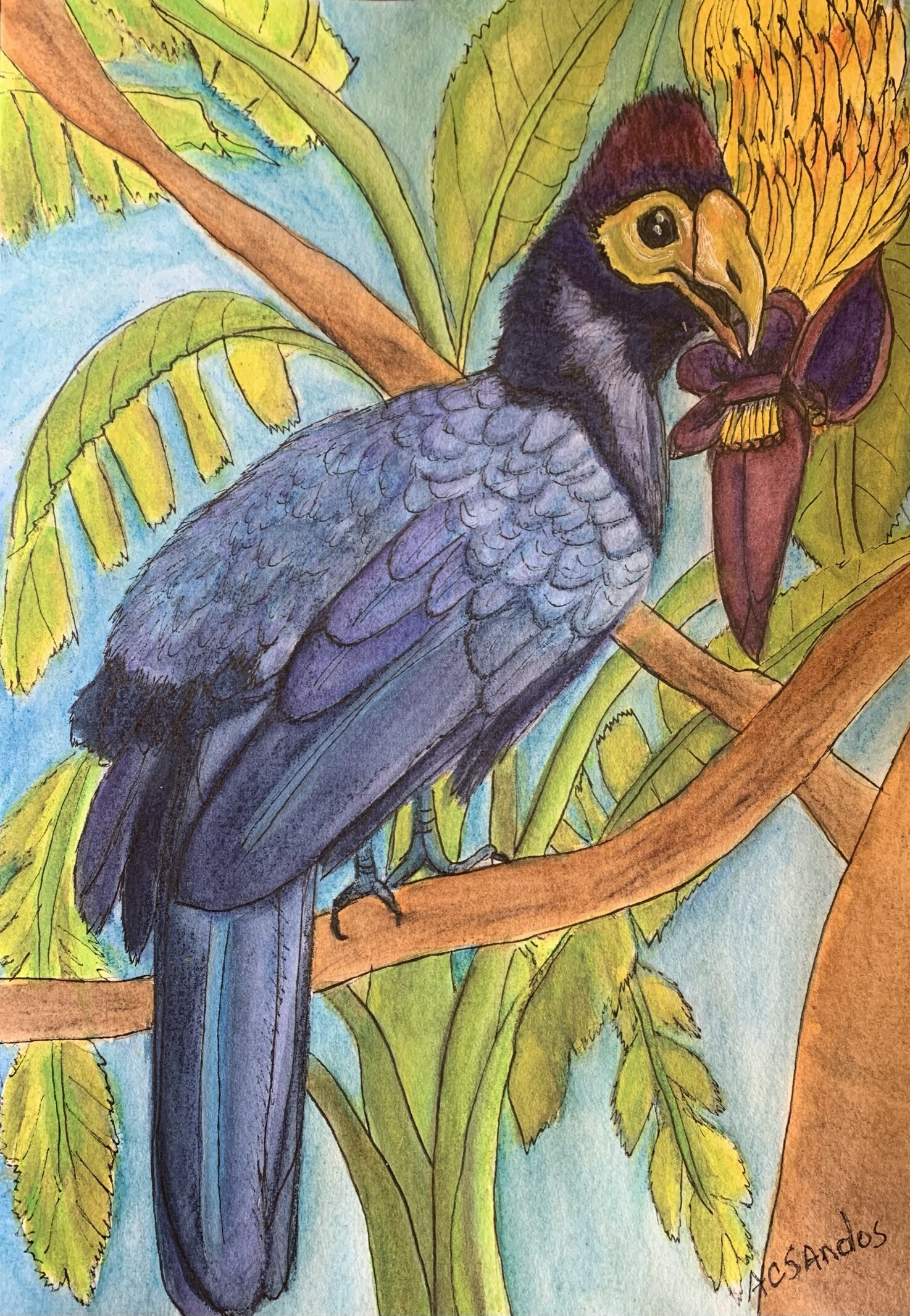 Violet Plantain Eater 2021.jpeg