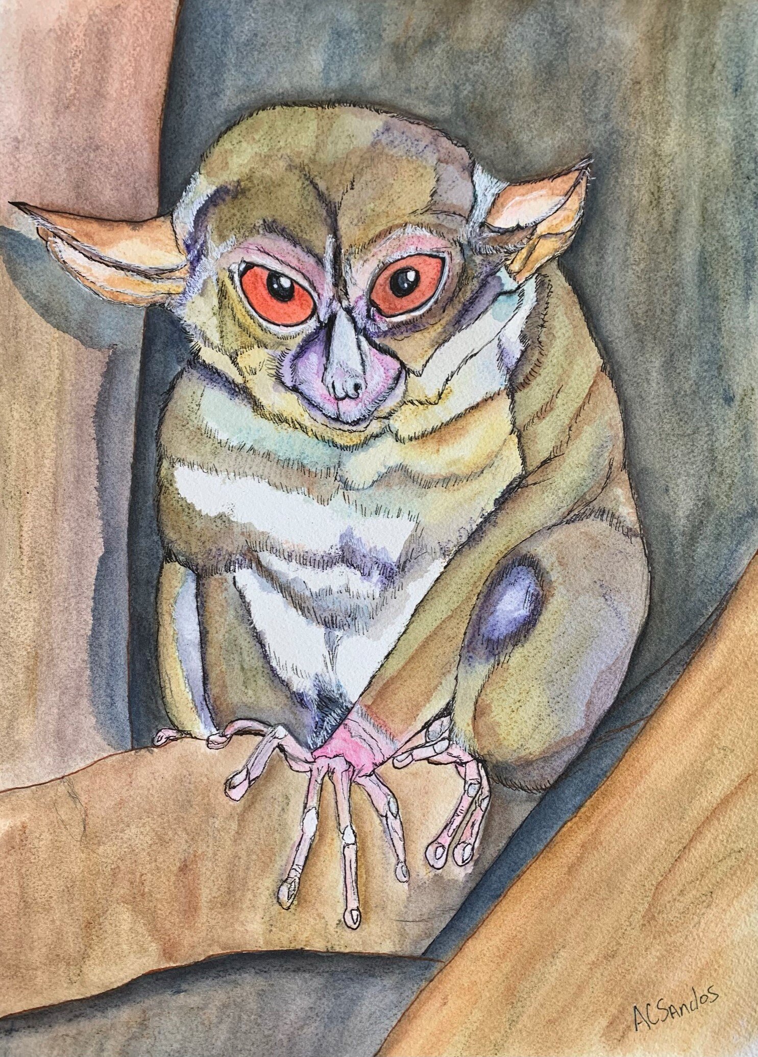 Yoda Bushbaby Finished (2).jpeg