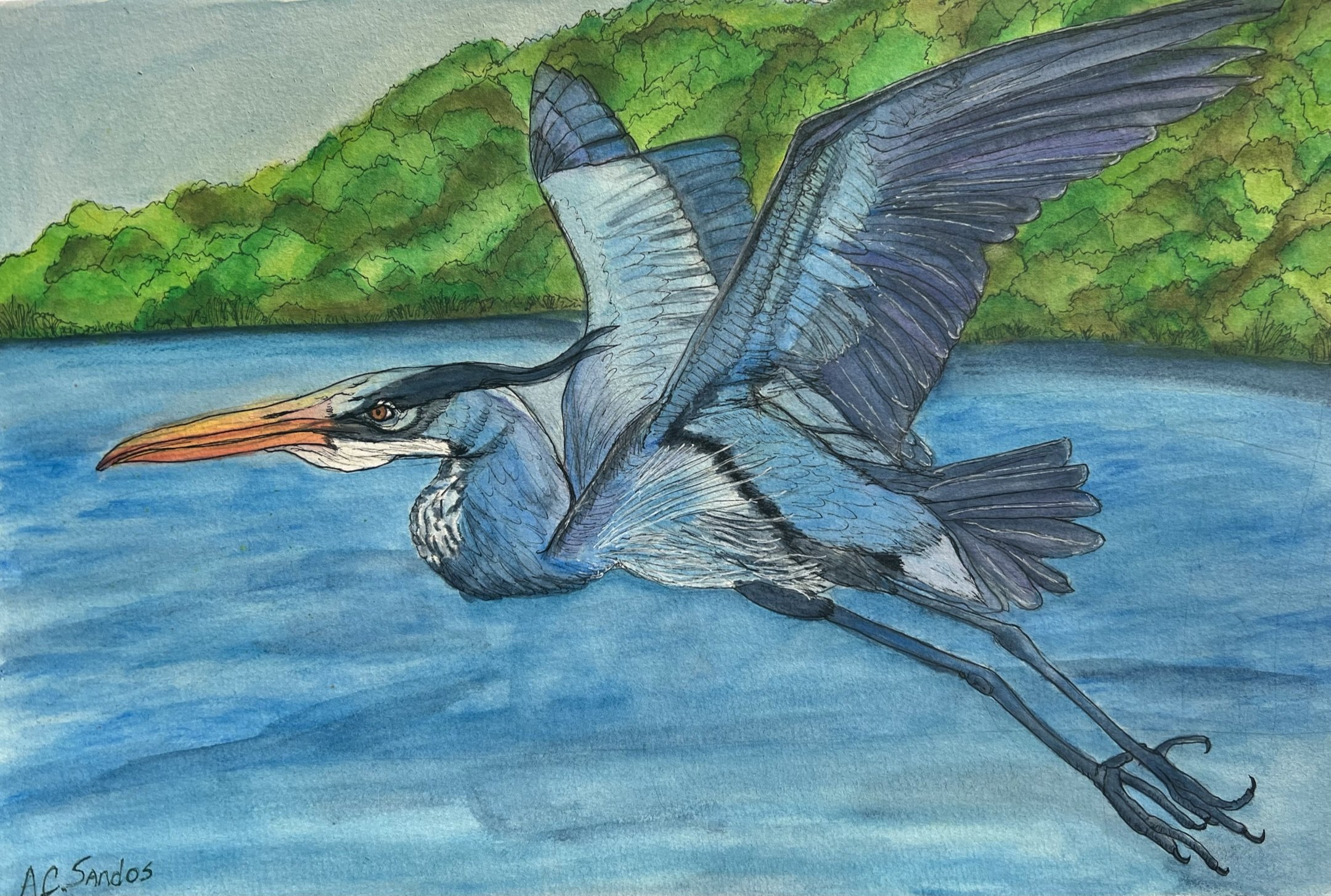 Mount Kisko Heron.jpeg
