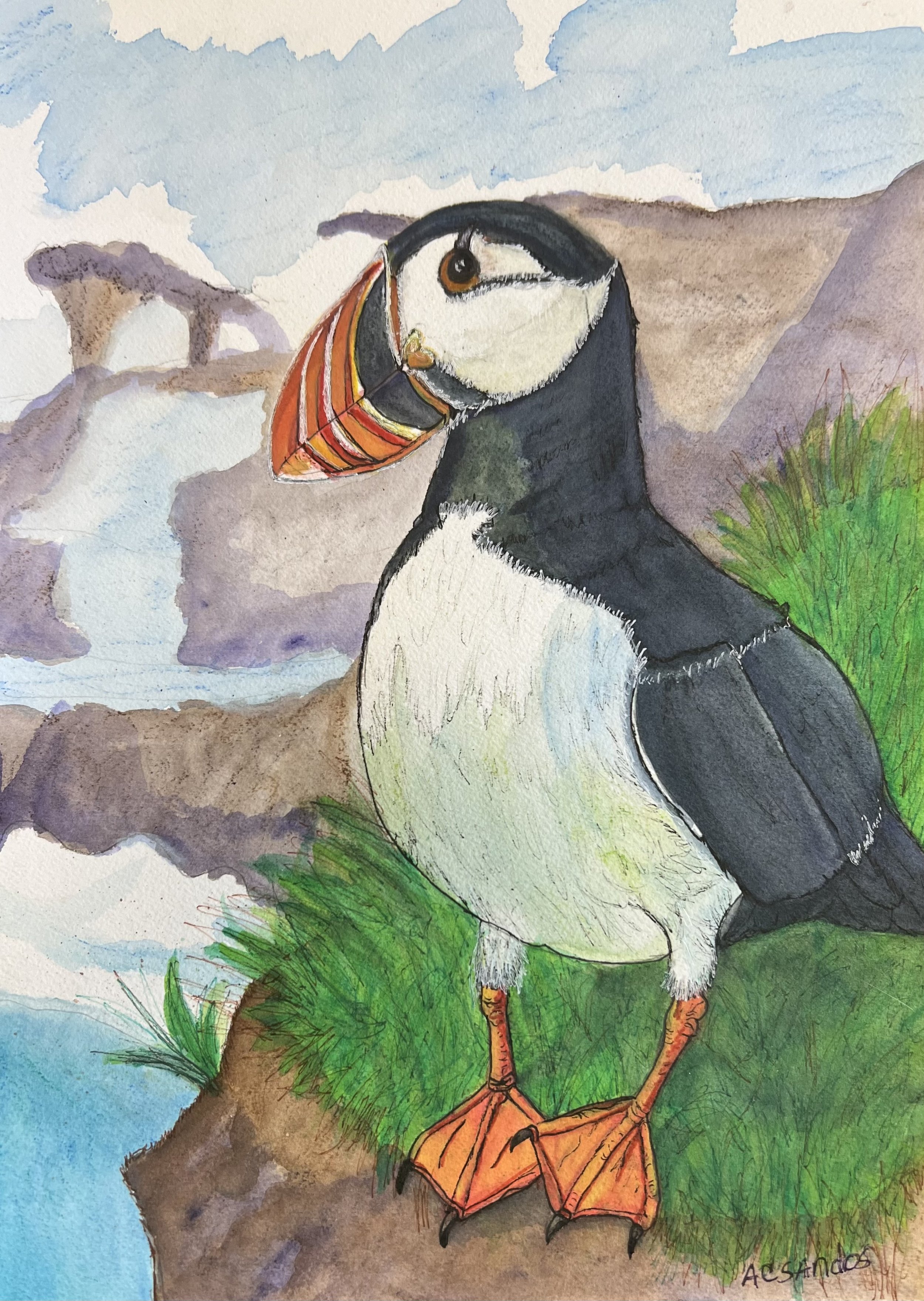 Pondering Puffin