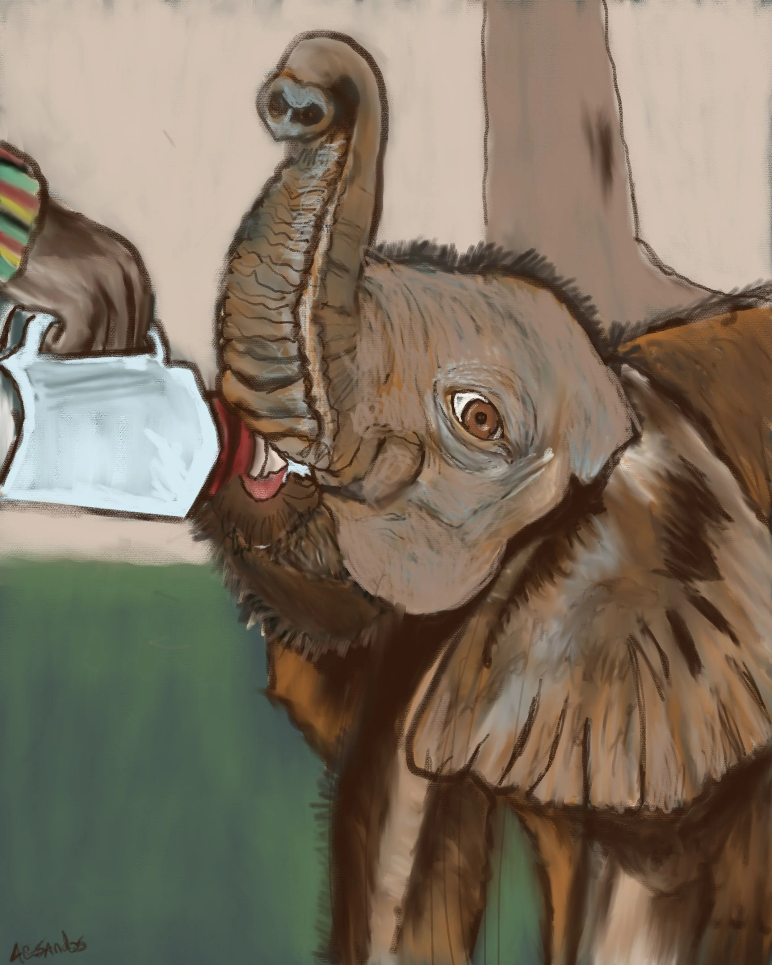 Toto Elephant Orphan