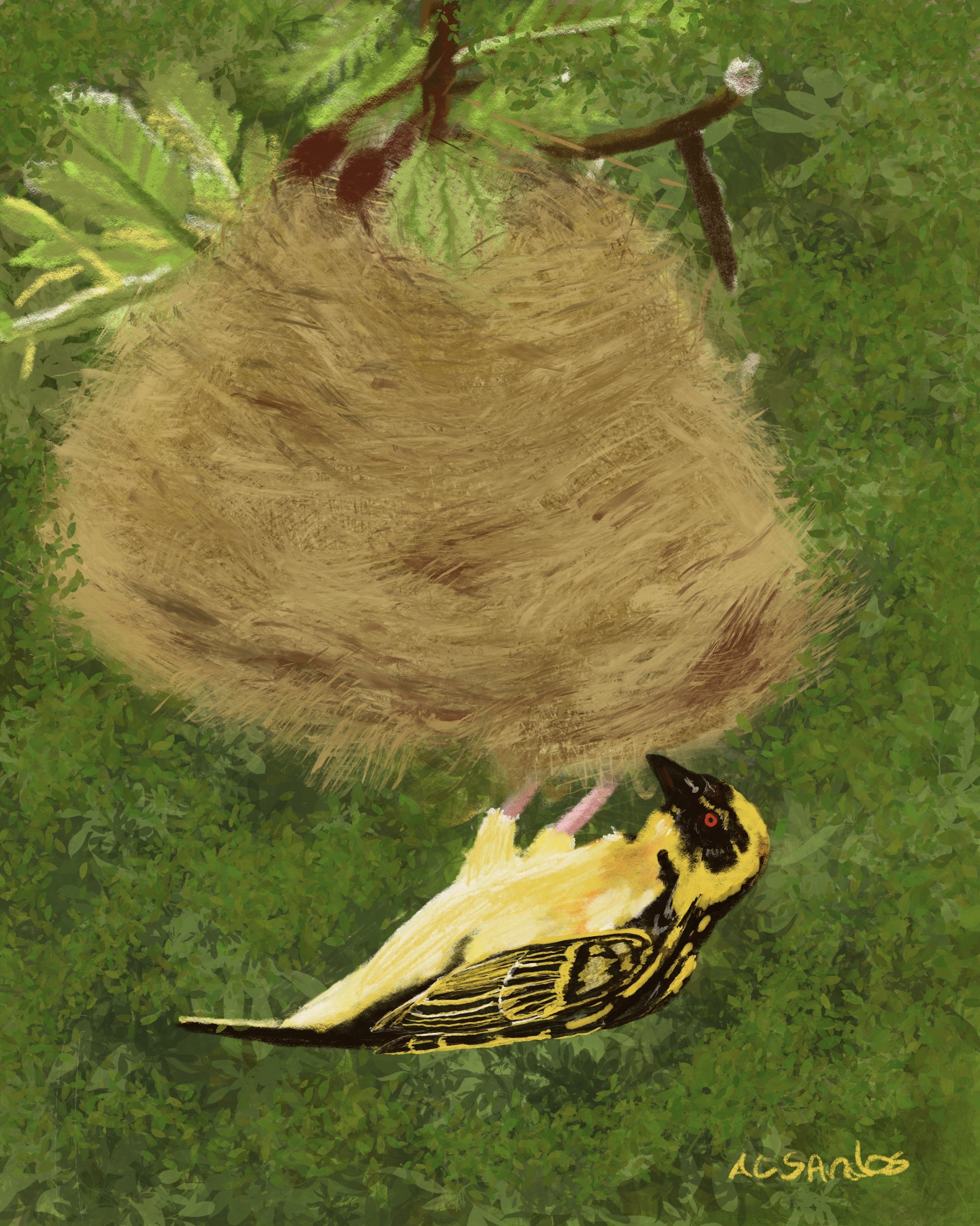 The Weaver