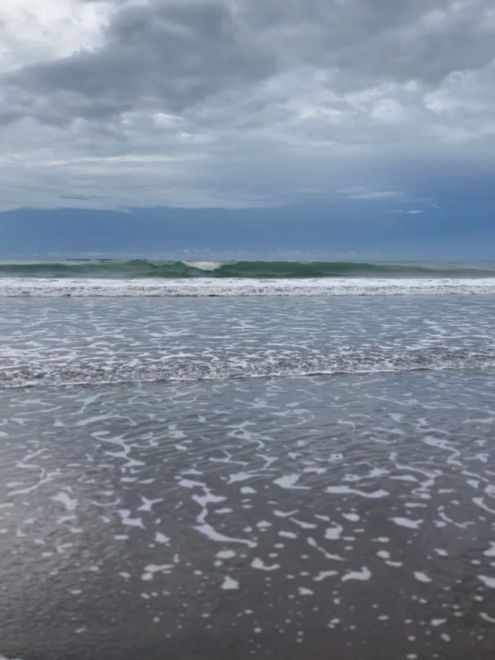 🌊The Fluid Fascia Retreat Panama 2025 

Well, that was amazing. 🙌 It has taken me a few weeks to process it all and share with you! 

Our theme: water 💦

The environment, food and drinks, mind/ body practices, ocean floats, and creatures that inha