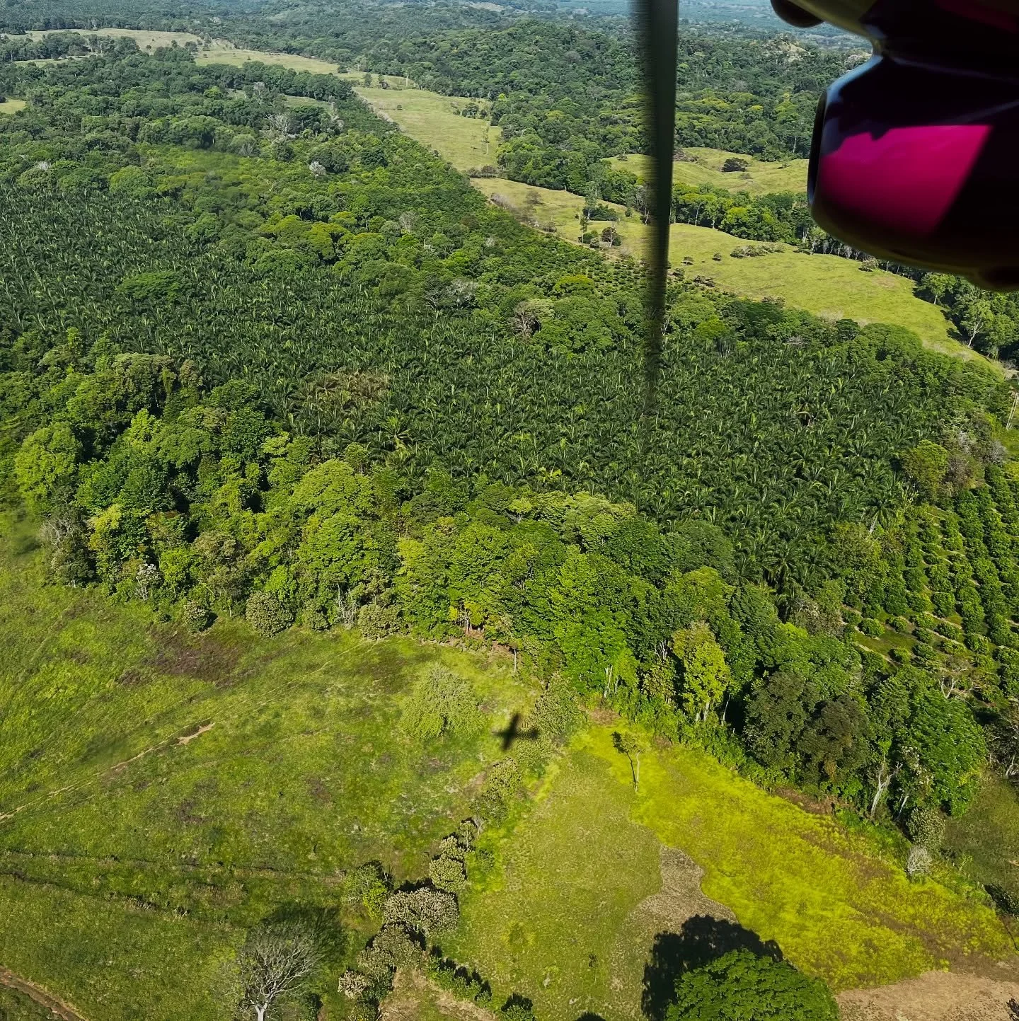✈️Plane departing soon and we have a last-minute opening for 1 Caba&ntilde;a! 

🌴Join us in the tranquil jungle of Costa Rica for an educational vacation that will pay off for decades to come. Your brain will thank you! 🧠❤️

 🧠The Brain Health Ret
