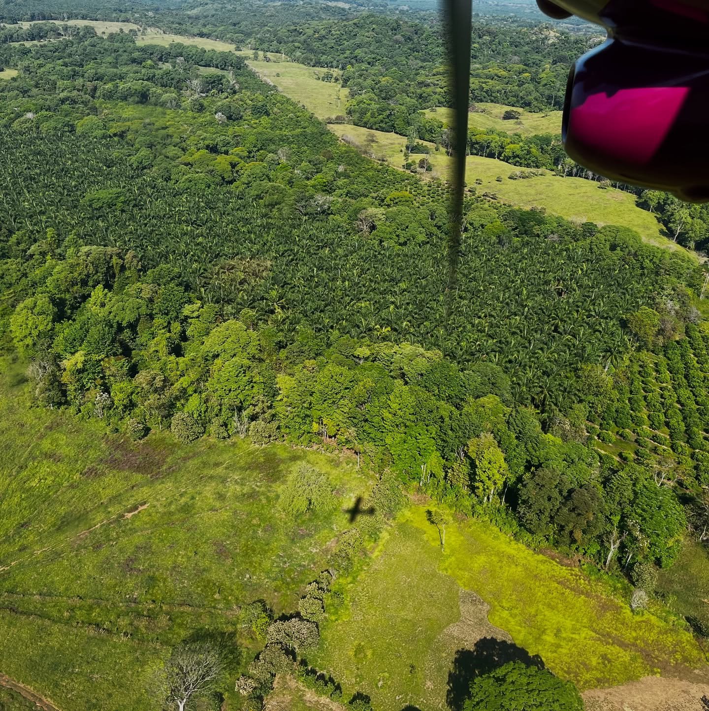 ✈️Plane departing soon and we have a last-minute opening for 1 Caba&ntilde;a! 

🌴Join us in the tranquil jungle of Costa Rica for an educational vacation that will pay off for decades to come. Your brain will thank you! 🧠❤️

 🧠The Brain Health Ret