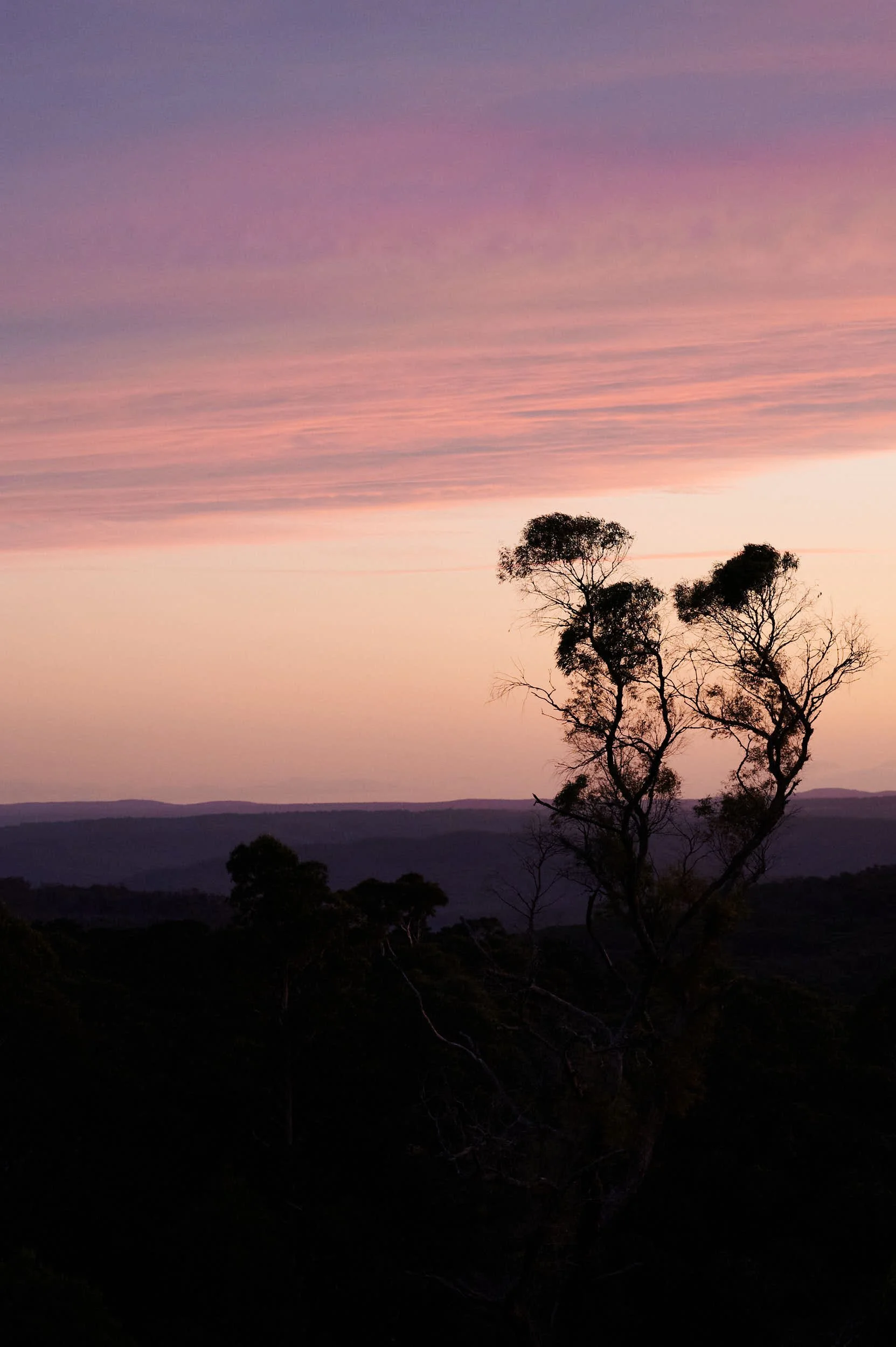 Beautiful hospitality photography: sunset from Osborn House hotel by Charlotte Orr, photographer based in Melbourne, Australia