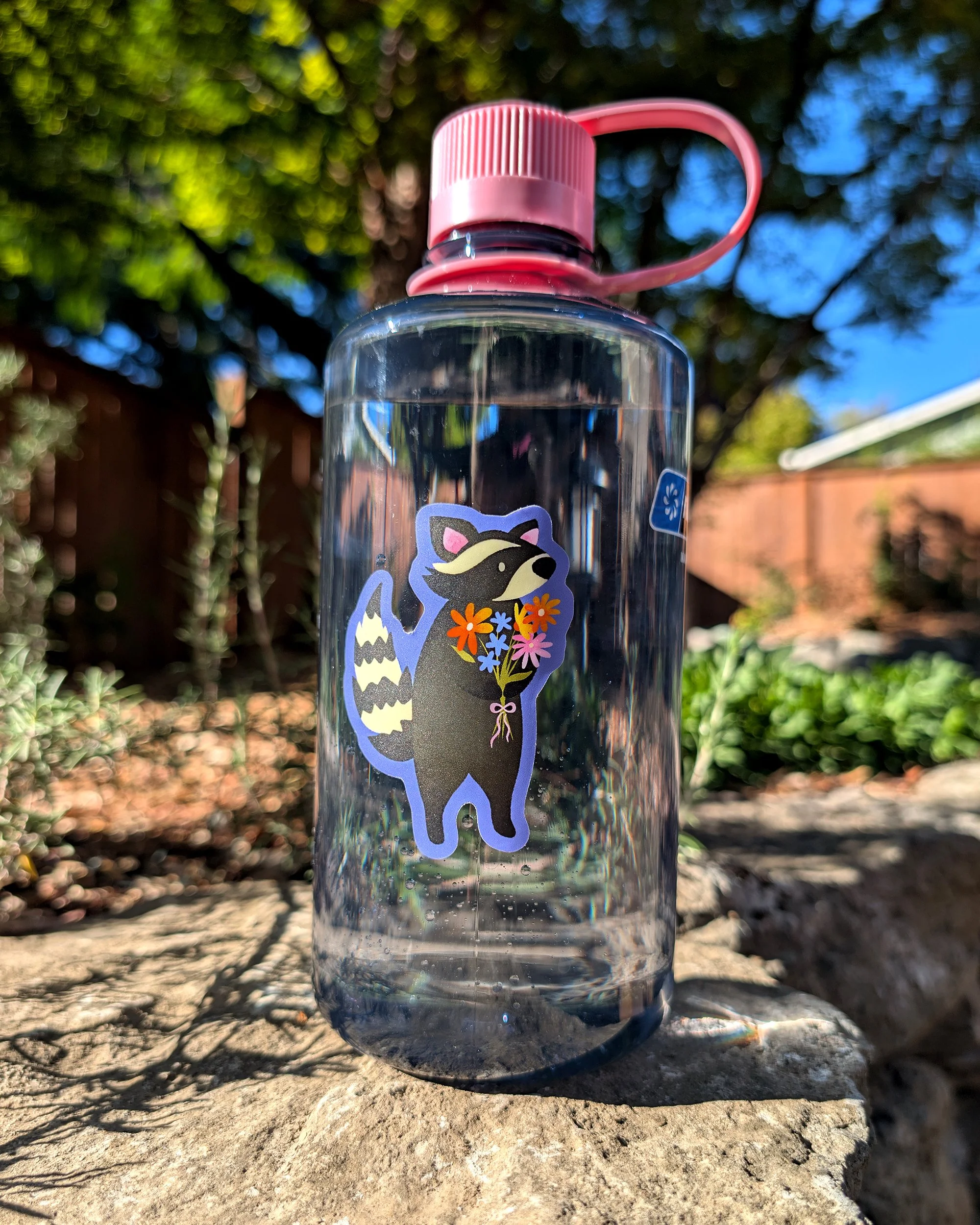 raccoon sticker lifestyle water bottle.jpg