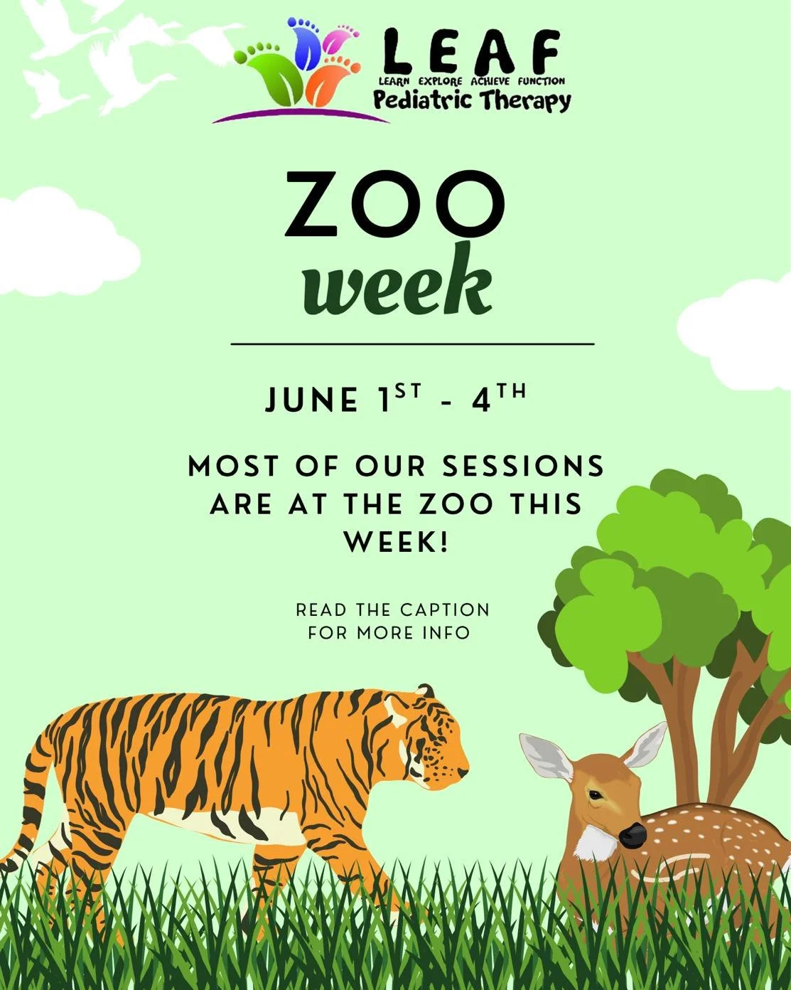 We are kicking off our summer schedule with Zoo week! 🐻🐯🐰
&bull;
Some important details for the week:
- Please refer to your reminder sheet to see if your child is scheduled for Zoo week. If you are not sure, feel free to call or text the clinic! 