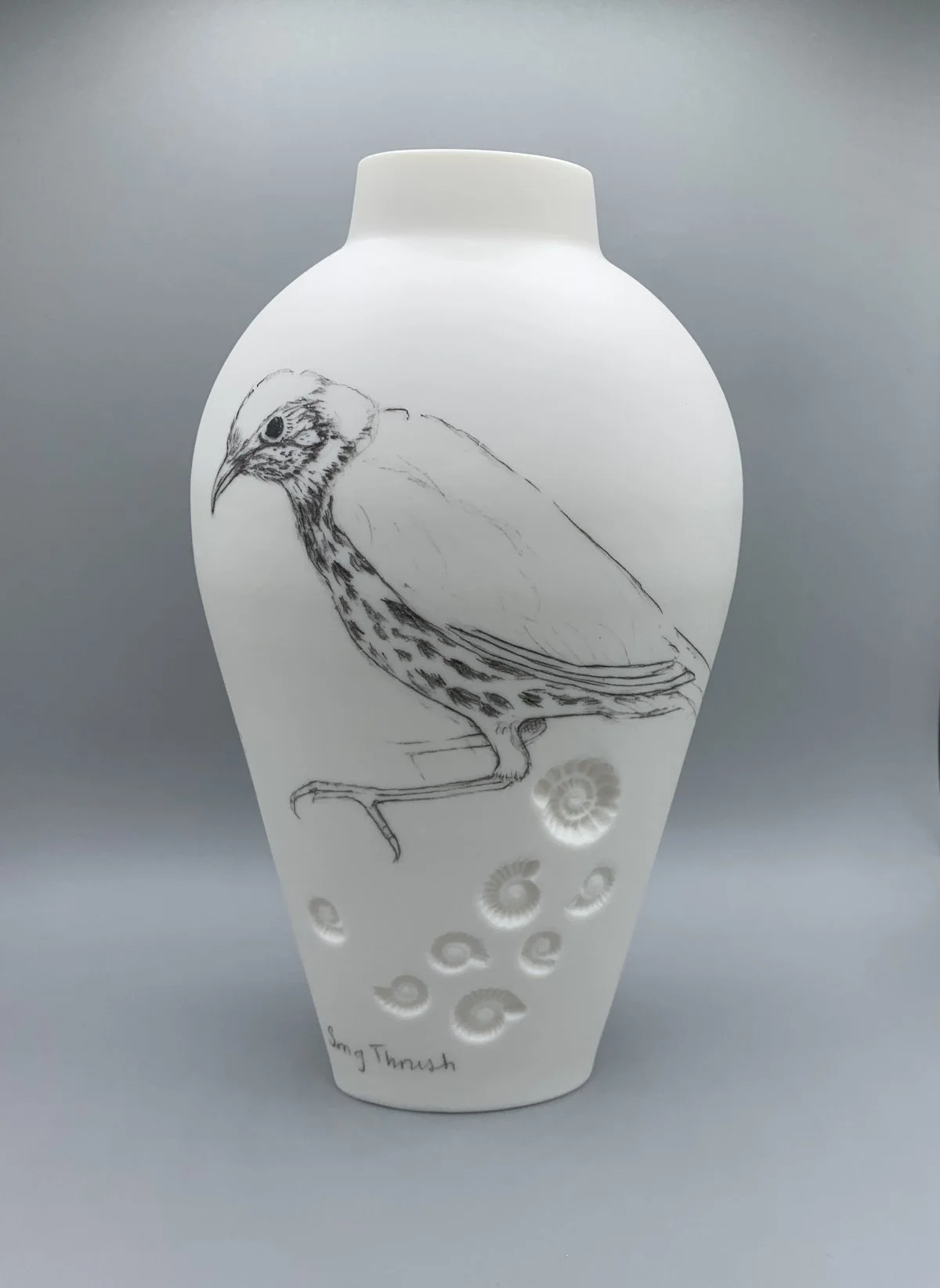 Song Thrush  Birds on Edge Large front.jpg