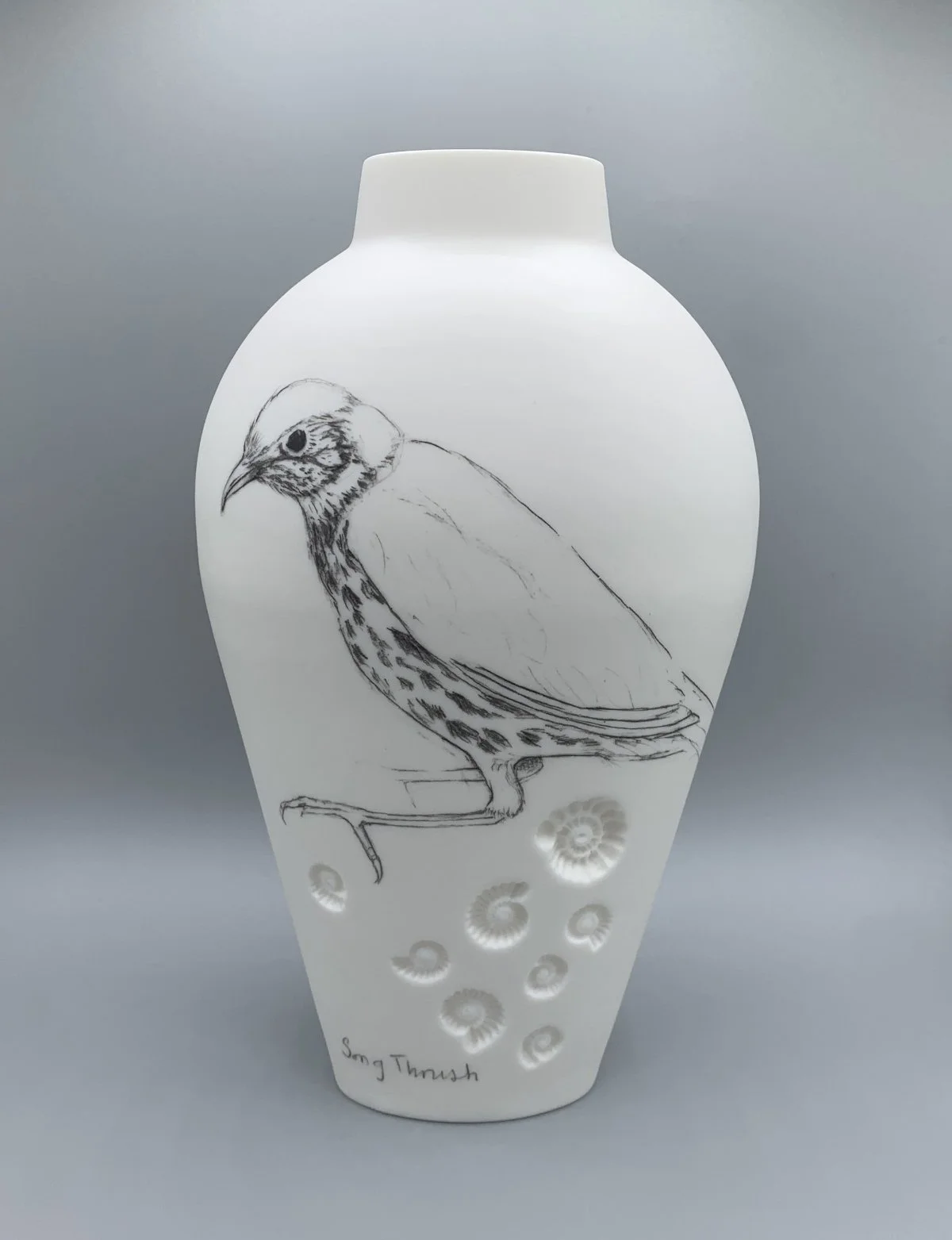 Song Thrush  Birds on Edge Large back.jpg