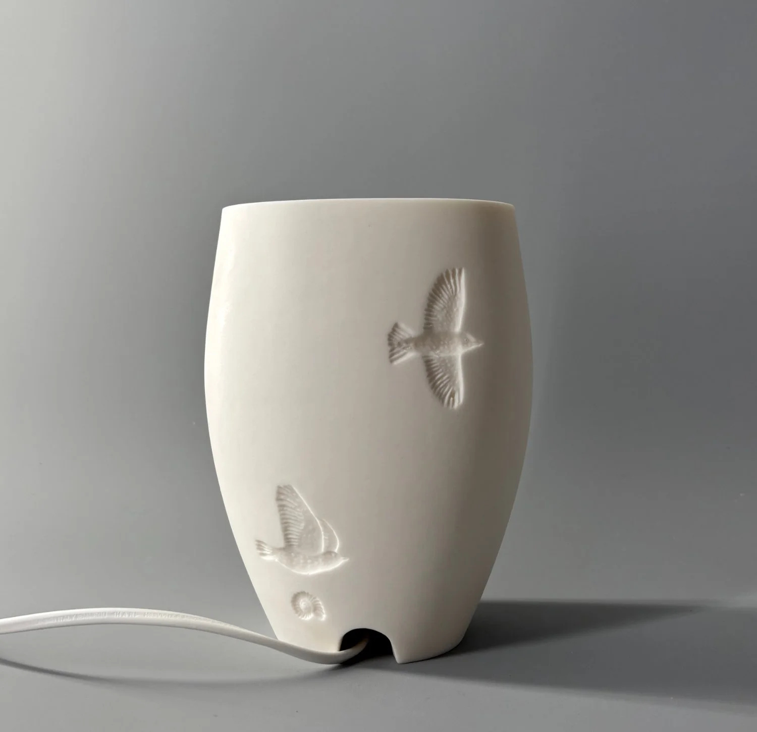 Song Thrush Medium Lamp Back.jpg