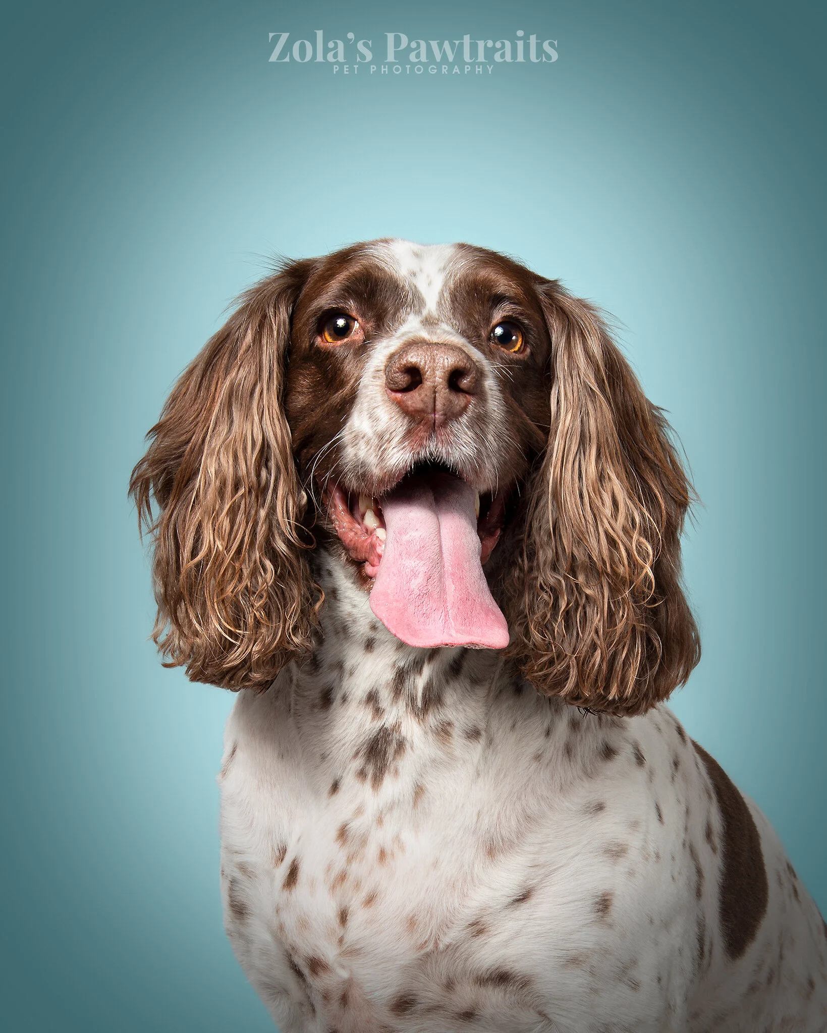 PETPHOTOGRAHY_ZOLASPAWTRAITS_021.jpg