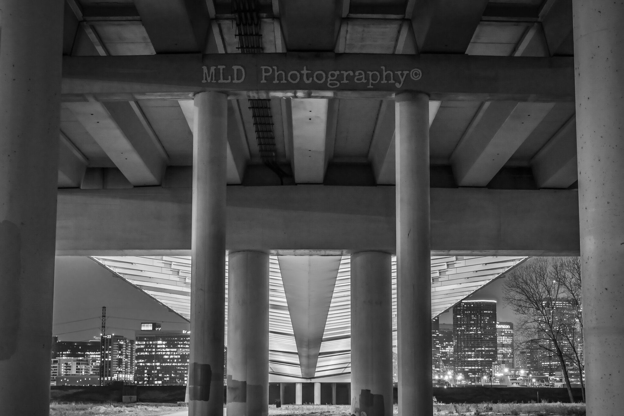 MLD05719.jpg