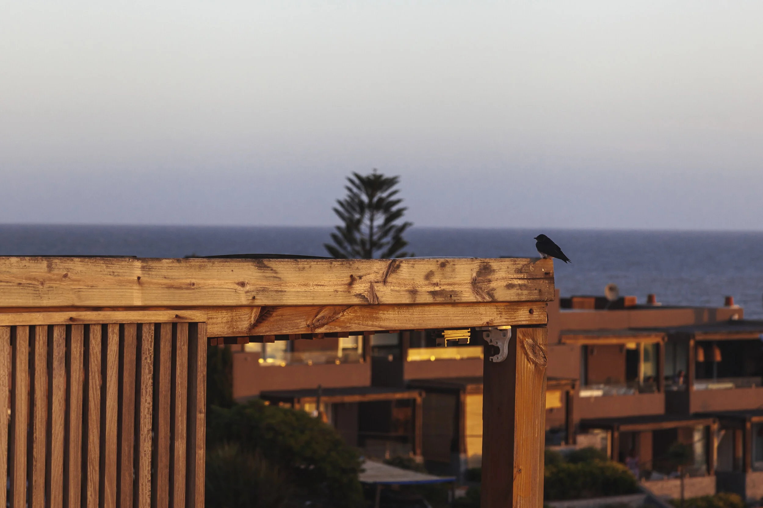 - Punta del Este --75.jpg