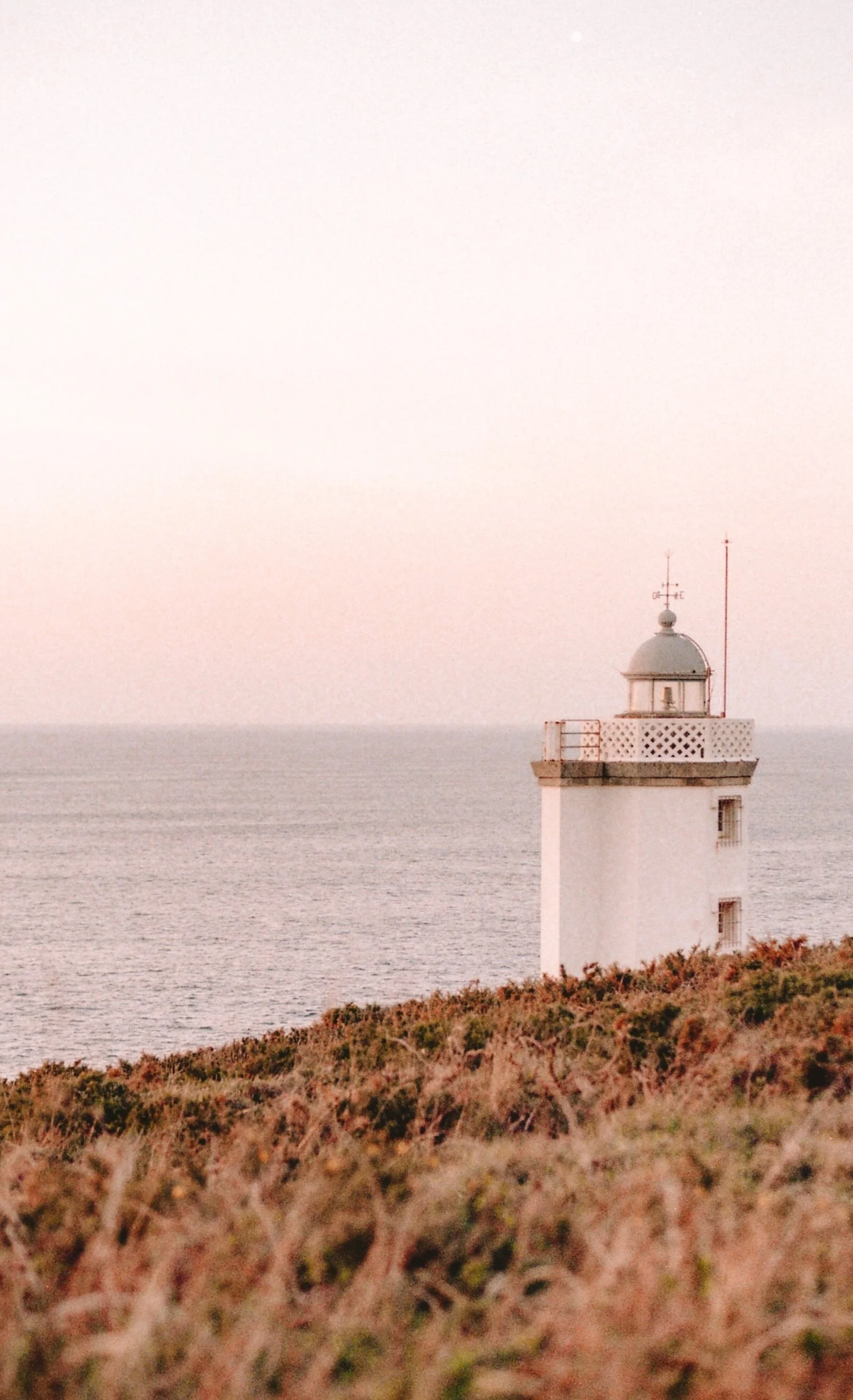 Film Photography 35mm
